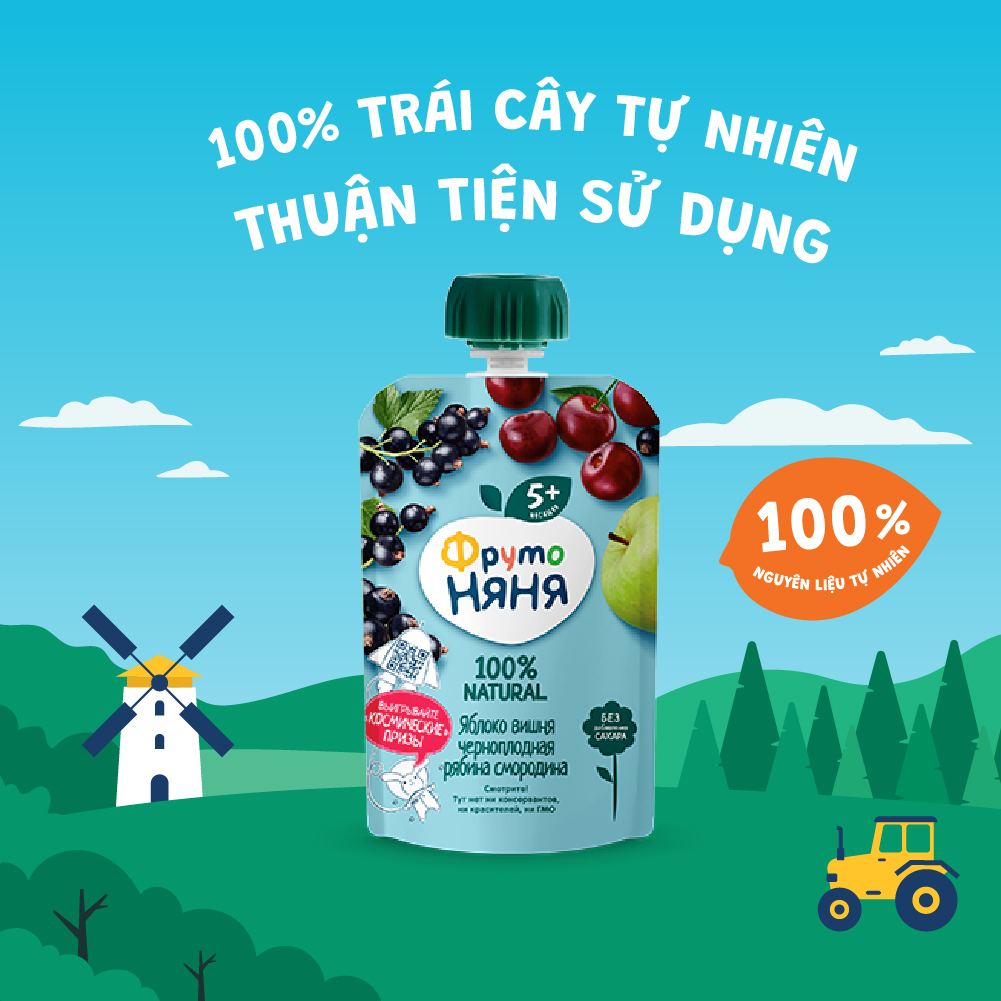 Thùng 12 Gói Trái cây nghiền vị táo, cherry, quả lý chua và thanh lương trà Fruto Nyanya 90g