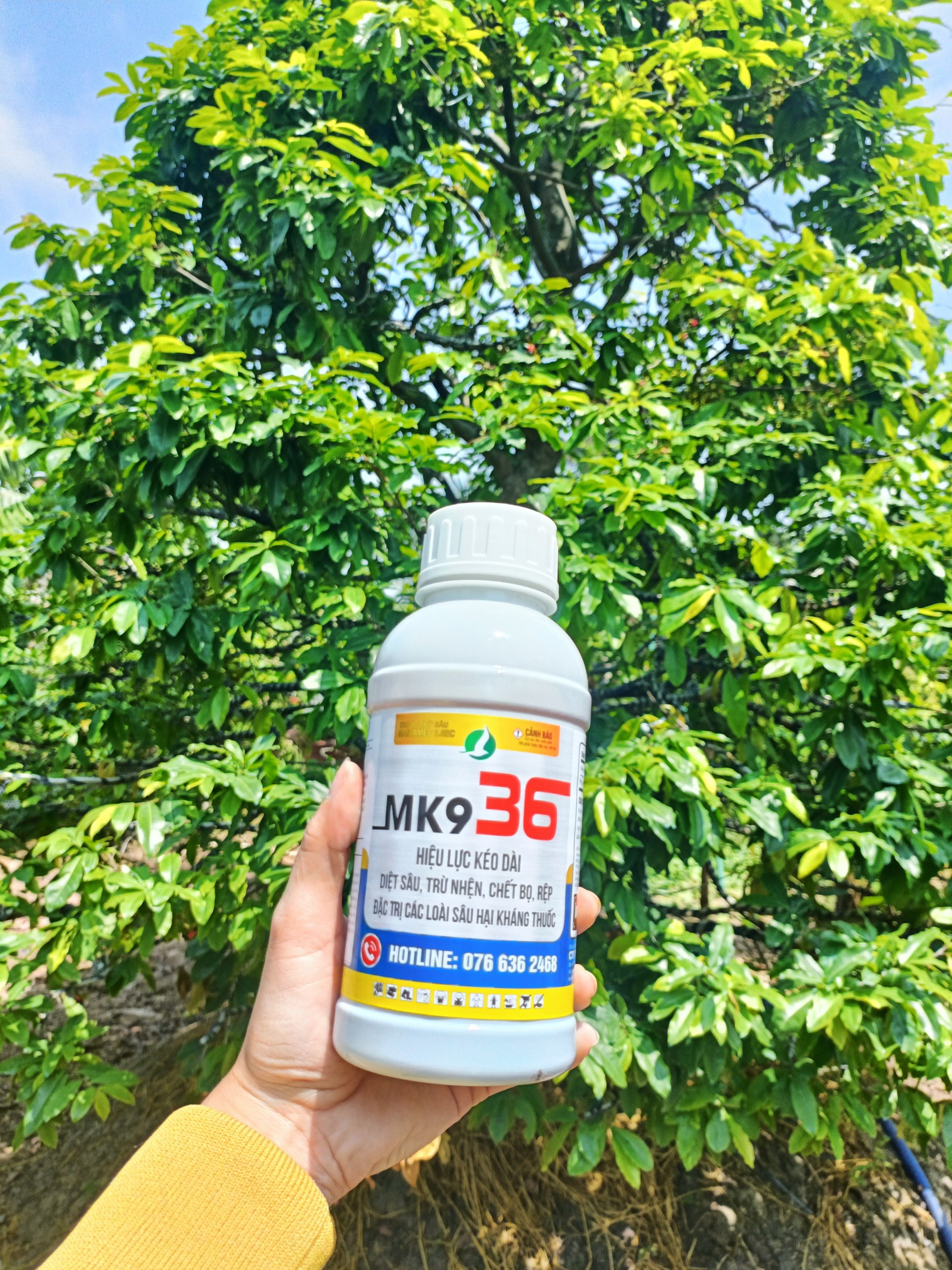 MK936 CHUYÊN SÂU,BỌ TRĨ,NHỆN ĐỎ.. CHAI 450ML