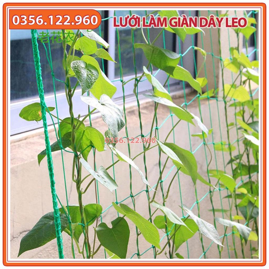 Lưới cước làm giàn leo bầu, bí, mướp, dưa - 0,9m x 1,8m