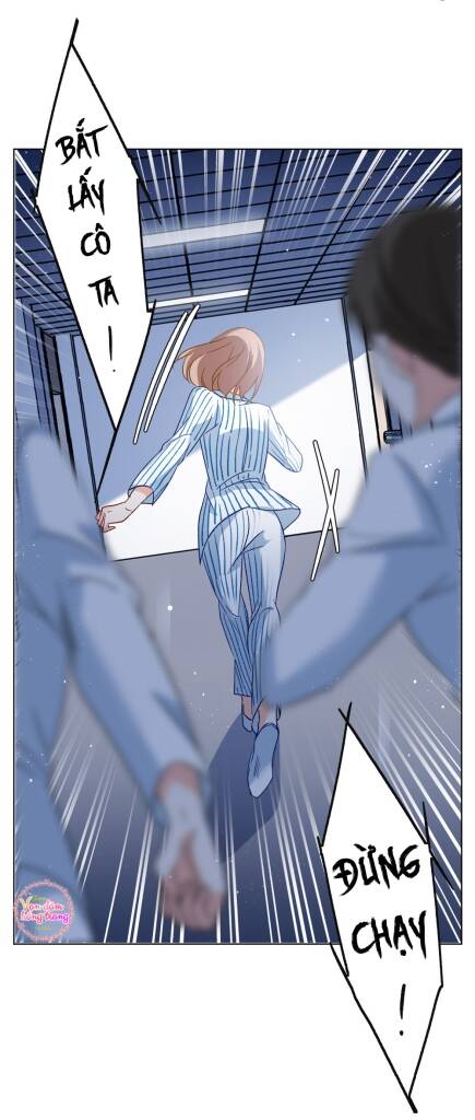 cô ấy đến rồi, xin nằm xuống! chapter 176 17