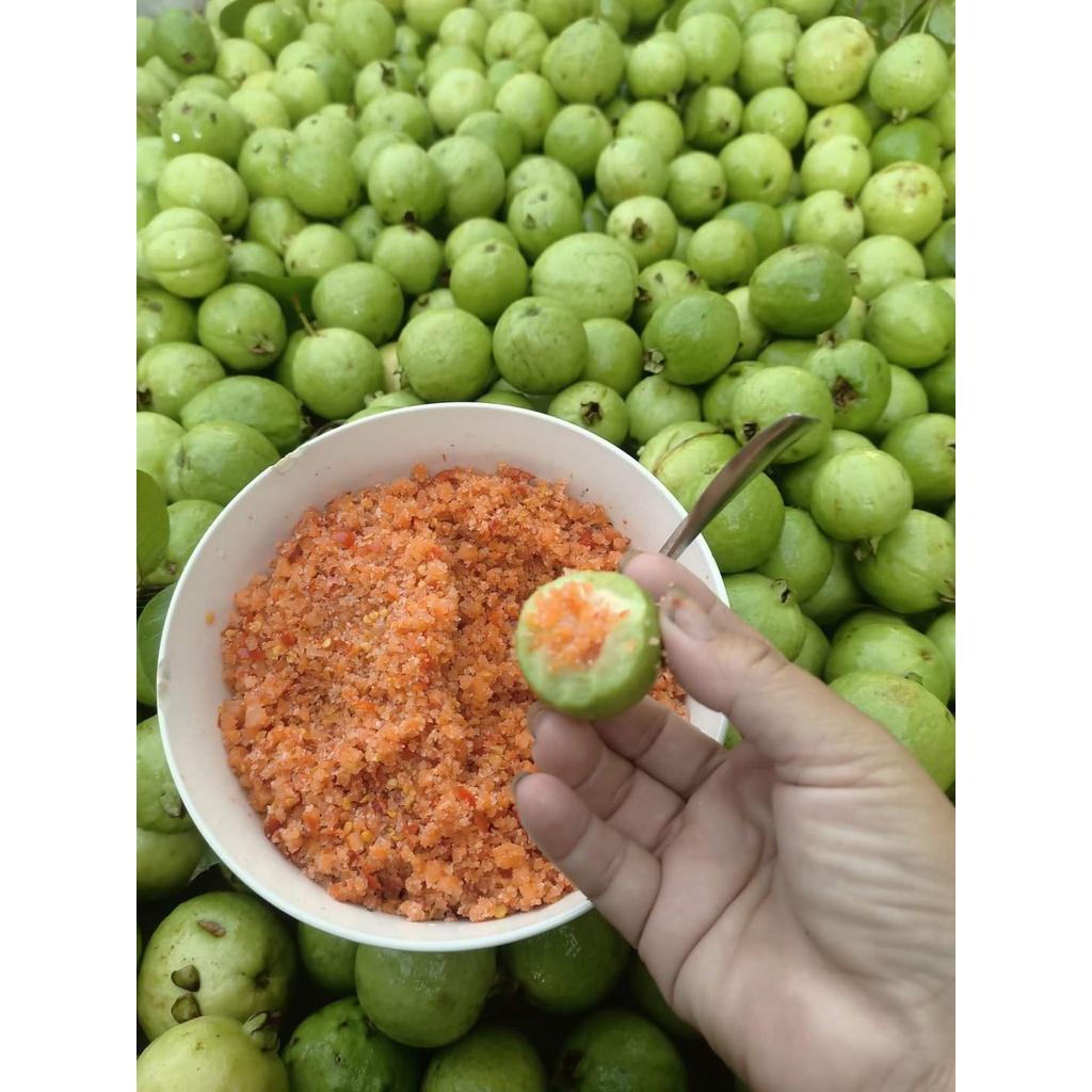 Cây giống Ổi Găng Đông Dư