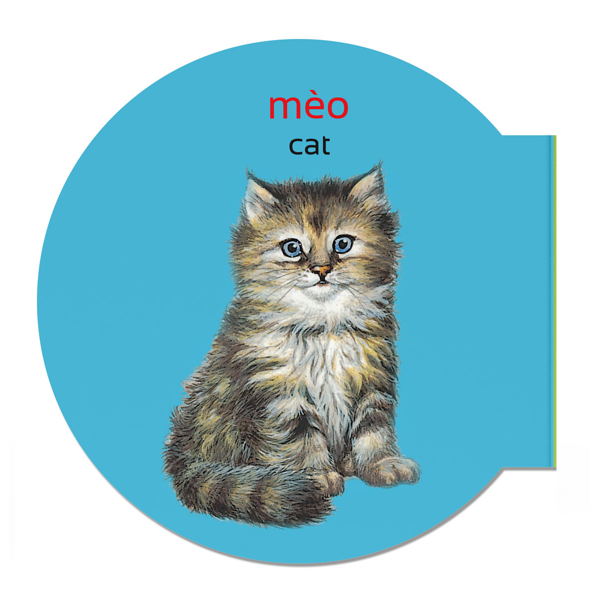 Picture Dictionary - Từ điển bằng hình - Động vật nuôi - Domestic Animals