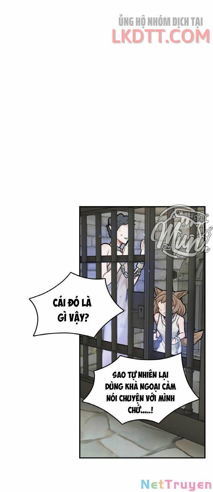 nhật ký tuần trăng mật của phù thủy và rồng chapter 45 53