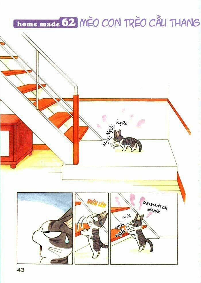 chi's sweet home chapter 62 2