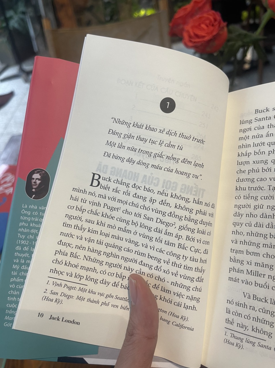 (Bìa cứng) TIẾNG GỌI CỦA HOANG DÃ – Jack London – Huyền Chi dịch – GIEO Books – NXB Văn học