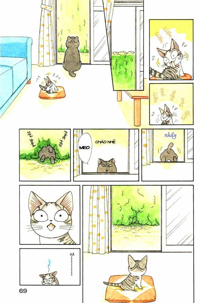chi's sweet home chapter 29 7