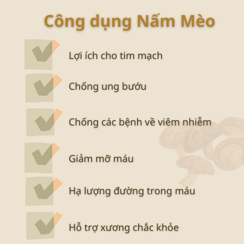 Nấm Mèo Nguyên Tai Sấy Lạnh Detoko Food Túi 50gr 100Gr
