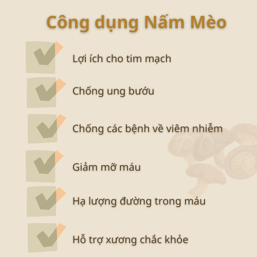 Nấm Mèo Nguyên Tai (Mộc Nhĩ Nguyên Tai) Sấy Lạnh Detoko Food Túi 50gr 100Gr