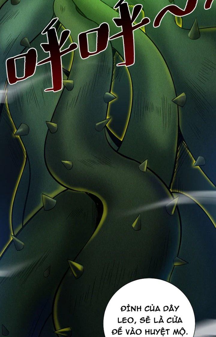ẩn cư mười vạn năm, đời sau mời ta rời núi chapter 51 32