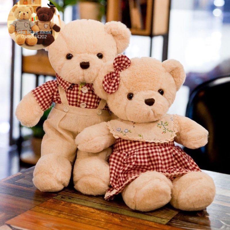 Gấu bông - gấu teddy đôi - Quà tặng cho bé kích thước 40cm - Gấu Bông Hana