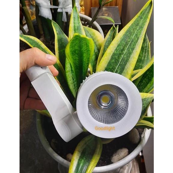 ĐÈN RỌI RAY GOODLIGHT CAO CẤP