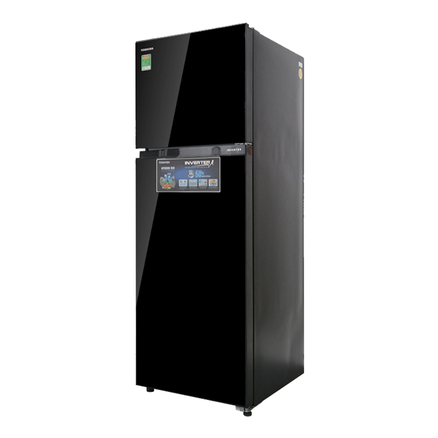 Tủ Lạnh TOSHIBA GR-AG39VUBZ 330L