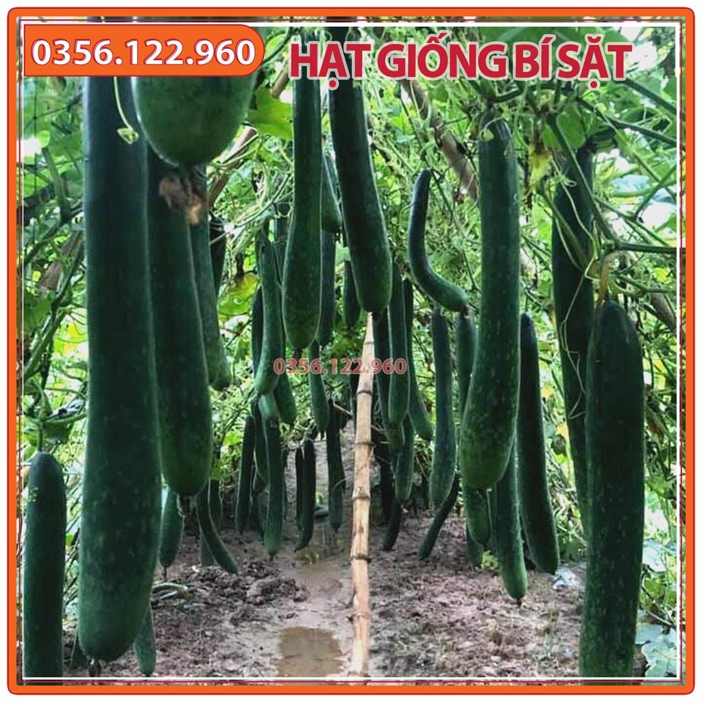 20 Hạt giống bí đao xanh, bí sặt F1