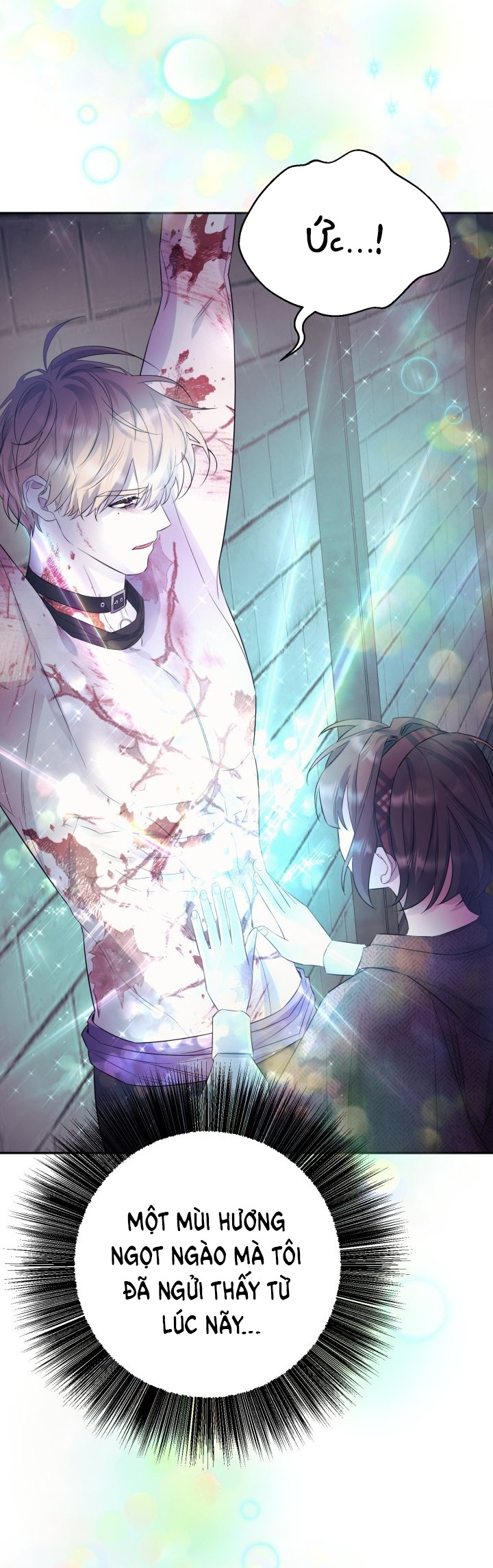 [18+] nếu cứu rỗi một cầm thú hư hỏng chapter 6.2 1