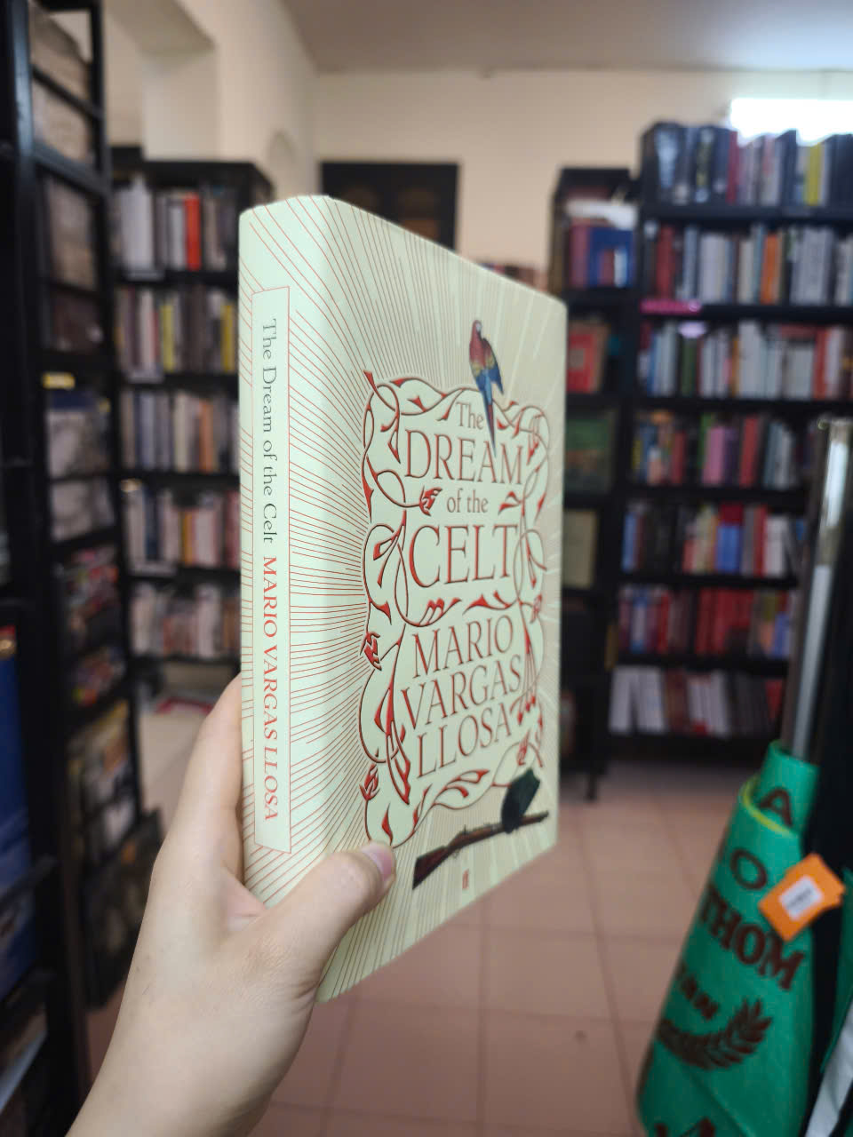 Sách - The Dream of The Celt by Mario Vargas llosa - Fiction/ Historical Fiction /Ireland in English
