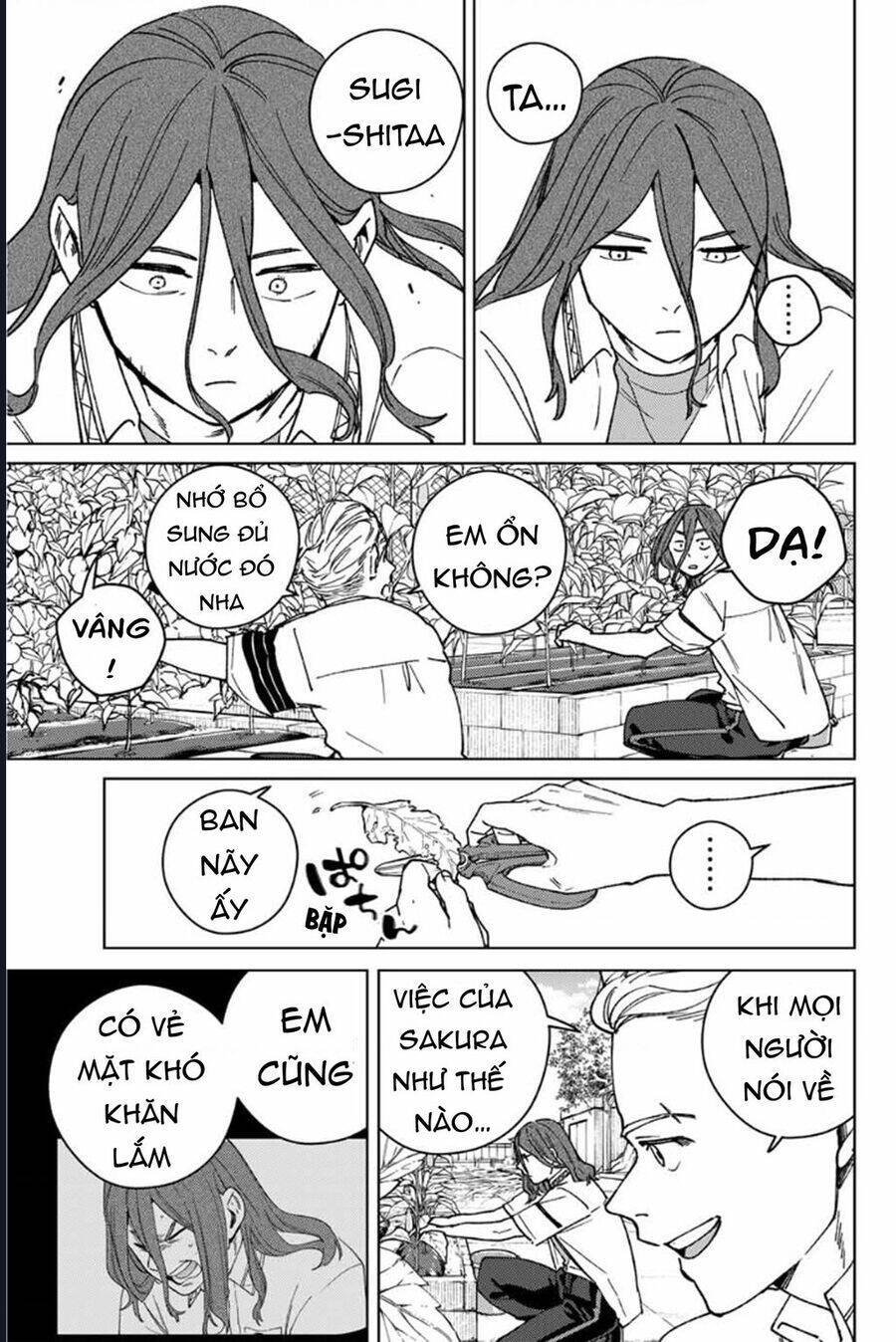 wind breaker chapter 165 15