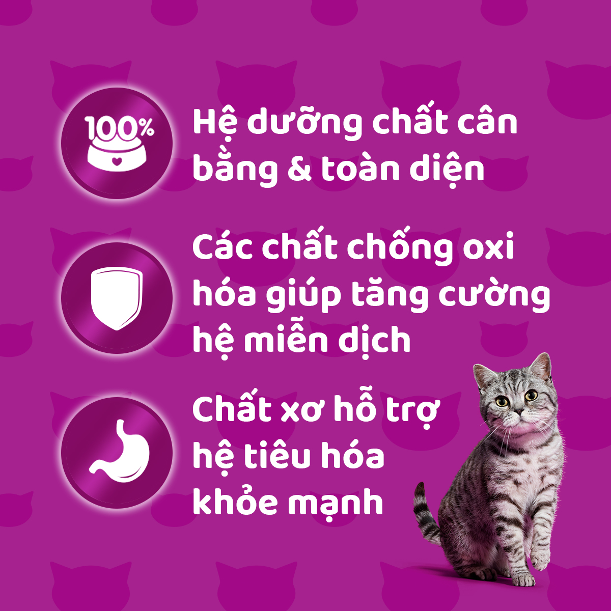 [Quà tặng không bán] WHISKAS Tasty Mix Thức ăn cho mèo trưởng thành dạng sốt  vị Gà, Cá hồi, và rong biển Wakam - 70g