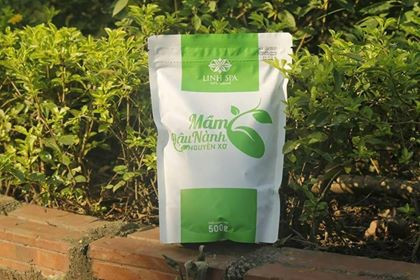 Mầm đậu nành nguyên xơ linh spa