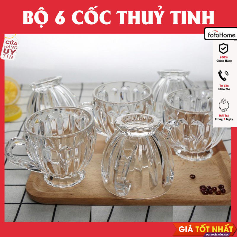 Bộ 6 Cốc Thủy Tinh Có Quai Uống Trà, Uống Cà Phê Hoặc Uống Gì Cũng Được