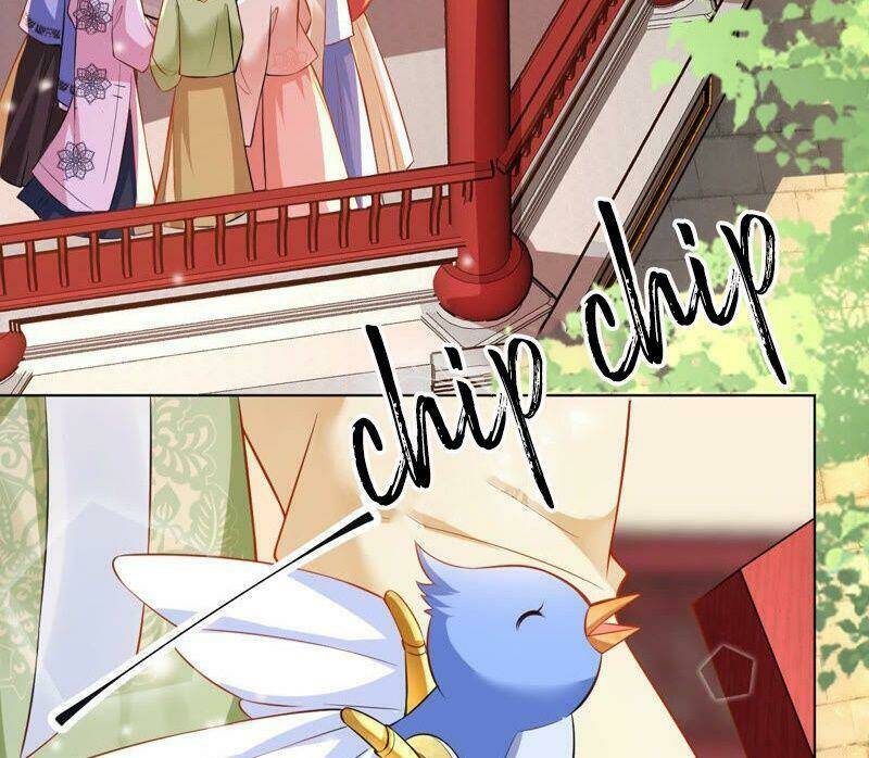 quận chúa vững vàng, thiết lập nhân vật không thể vỡ chapter 43 37