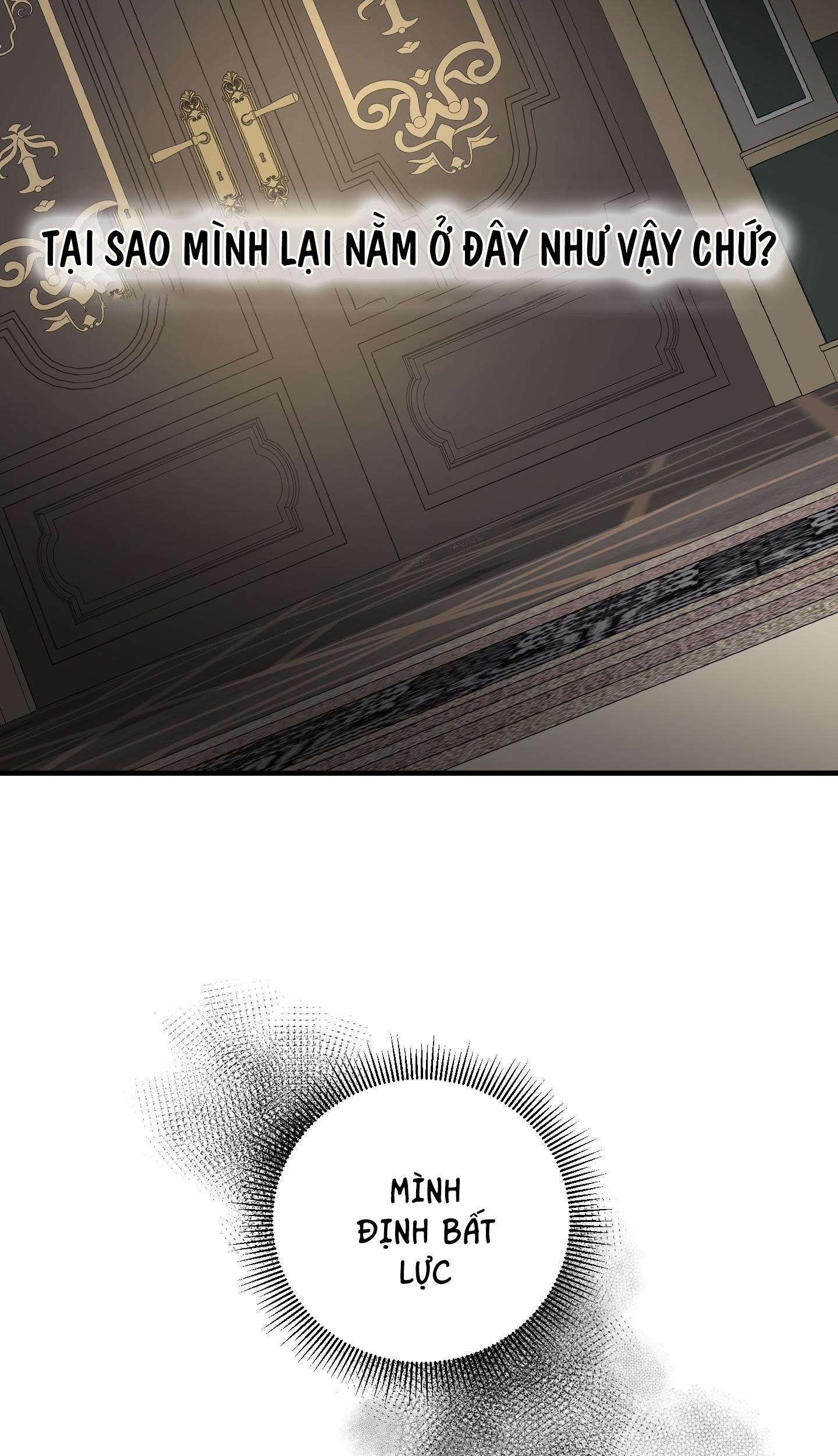 đóa hoa của mặt trời chapter 27 27