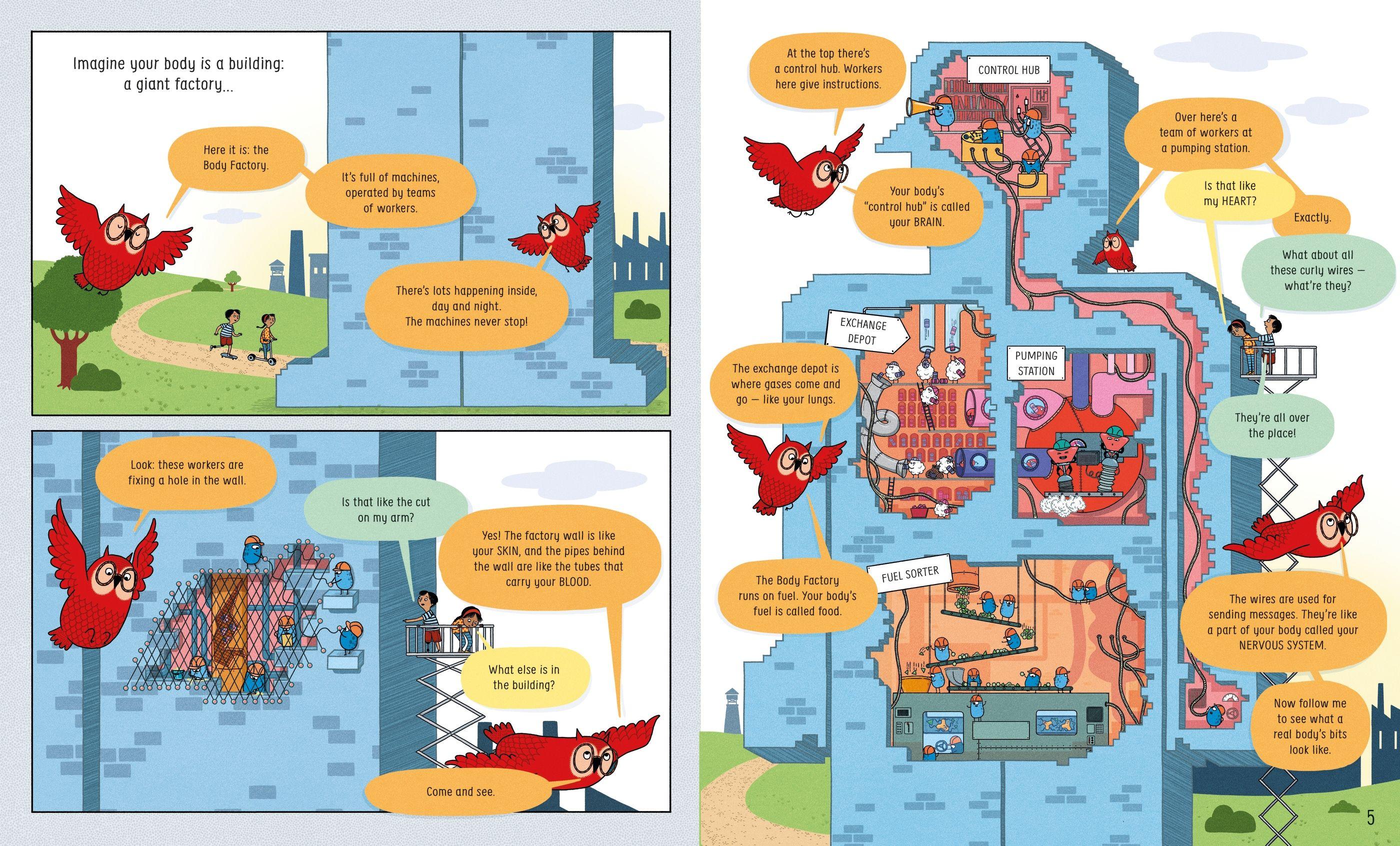Sách ngoại văn: Usborne Book Of The Body And How It Works
