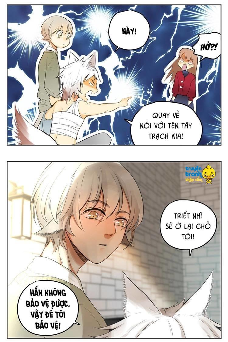 cứu mạng ! loài mèo thống trị thế giới rồi ! chapter 29 7