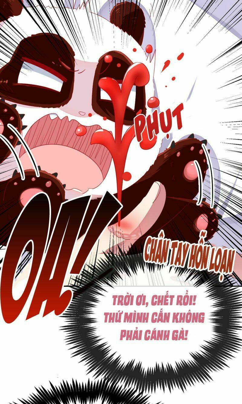 thiên thần gấu trúc muốn được ôm chapter 41 19