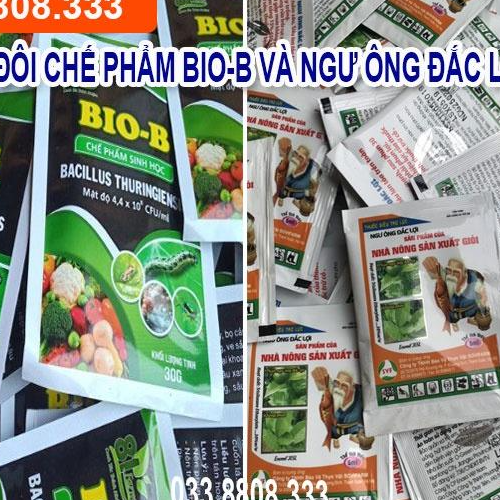 COMBO TRỪ SÂU SINH HỌC DIỆT NHANH TẬN GỐC GỒM BIO-B VÀ NGƯ ÔNG ĐẮC LỢI