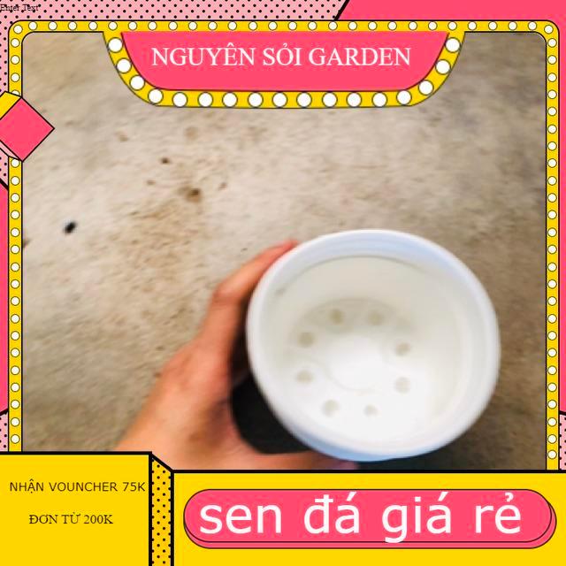 10 Chậu nhựa 10cm