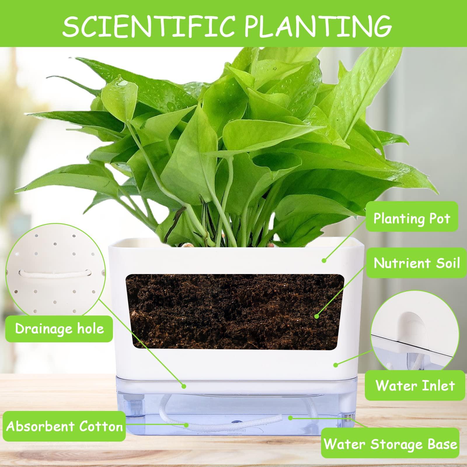 Nồi hoa, bộ 2 nồi thảo mộc, với hệ thống tưới tự động, cây trồng, chậu thơm thảo dược, lọ hoa bên trong ngoài trời