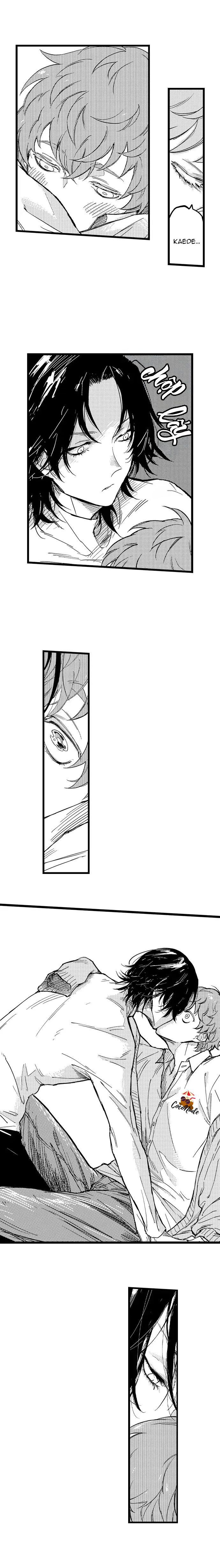 cậu bạn quyến rũ của tôi chapter 2 8