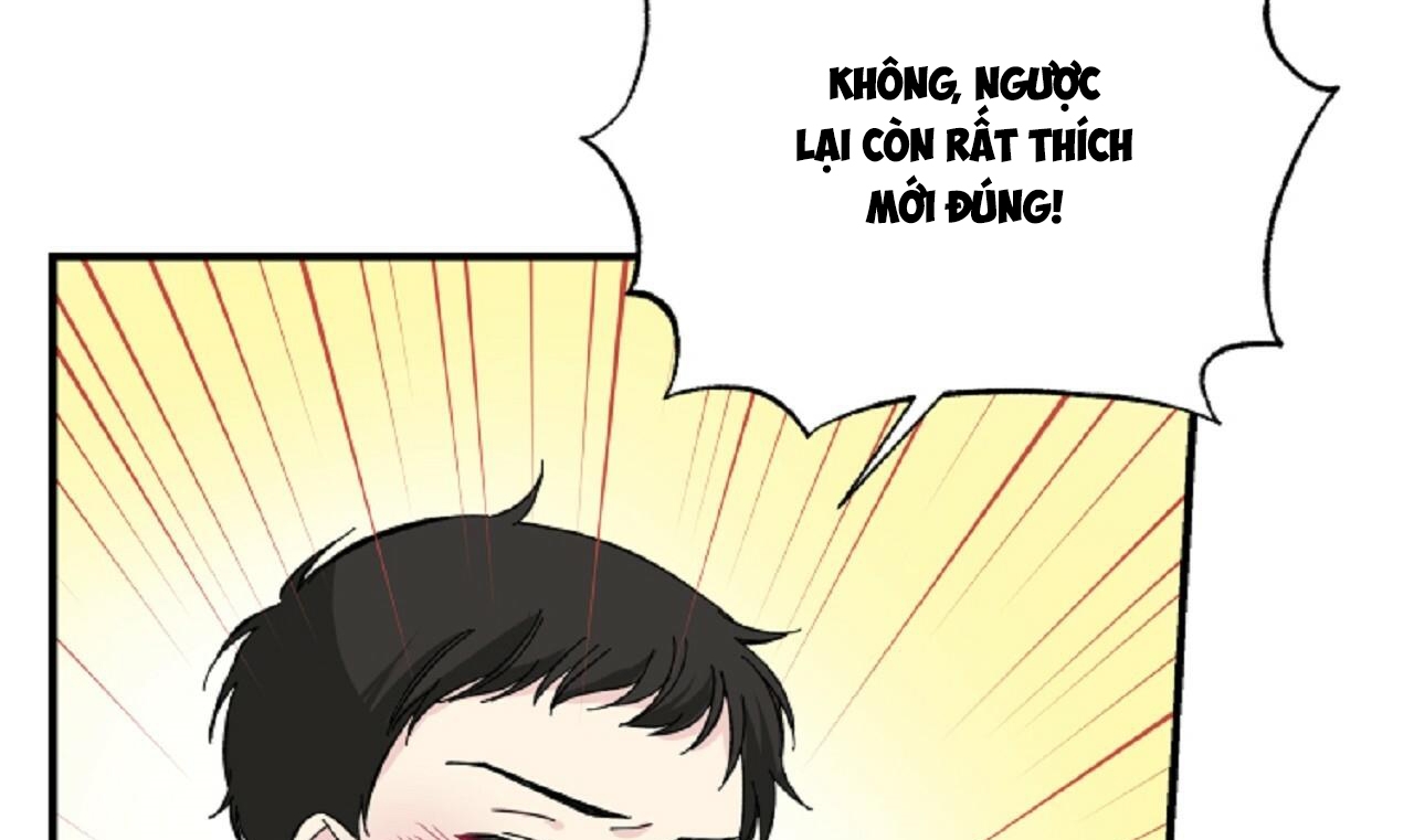 Vị Ngọt Đôi Môi chapter 11