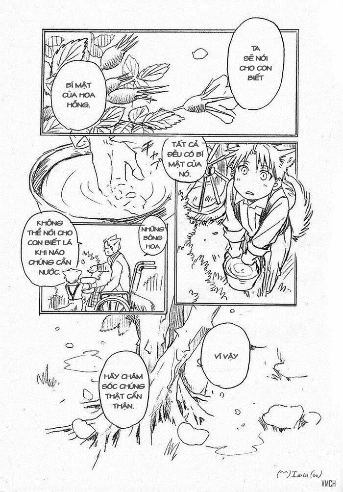 maiden rose-special chapter 11.1 7