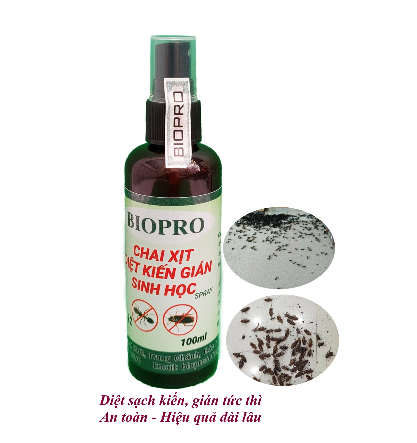 Chai xịt diệt kiến gián Sinh học Biopro Chai 100ml Diệt sạch kiến lửa, kiến đen, kiến hôi, gián, an toàn, hiệu quả