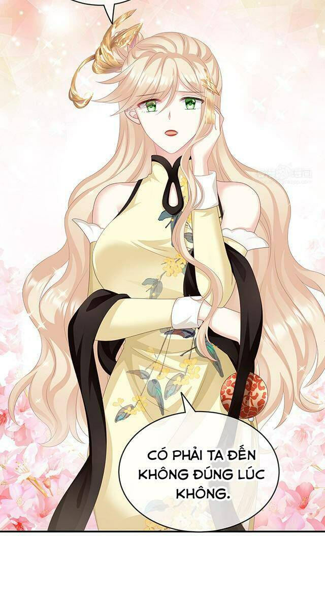 kiều phu có hỉ chapter 24.2 4