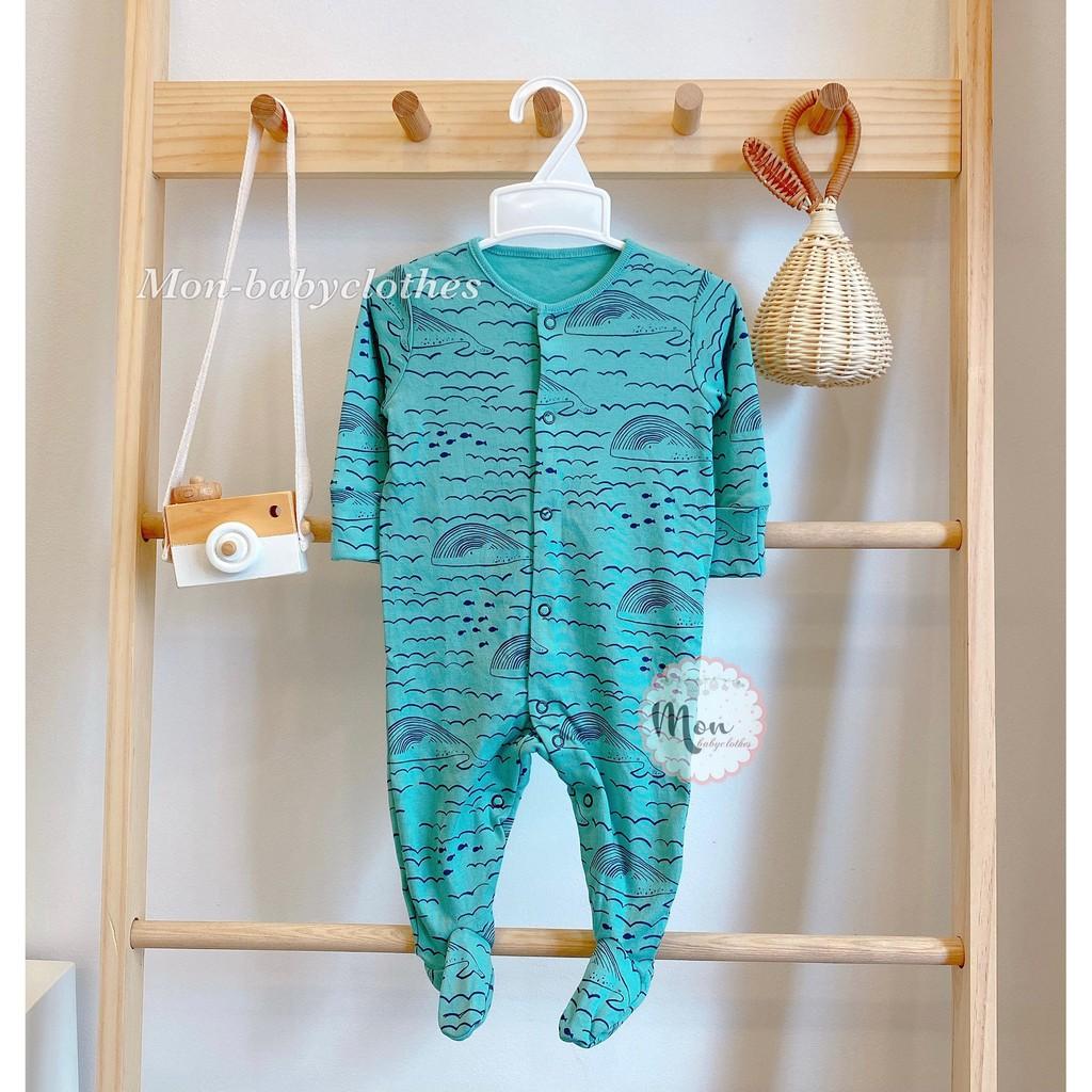 Body liền tất - cá heo xanh