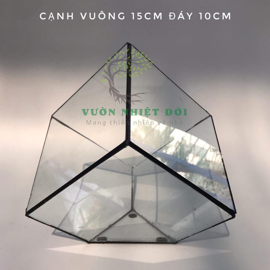 Bể Terrarium Đa Giác Setup Bán Cạn Để Bàn Làm Việc