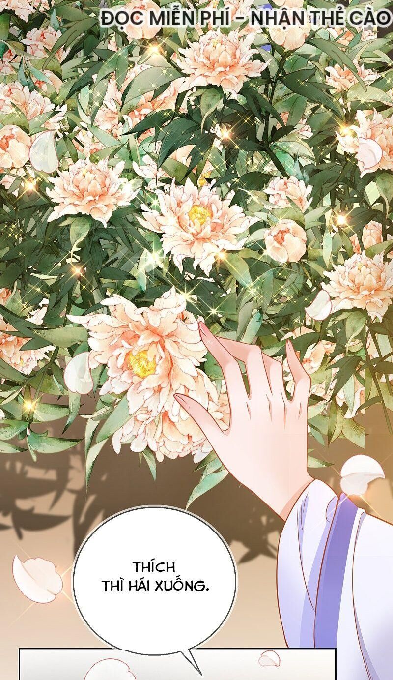 công lược trưởng thành của vương phi chapter 29 13