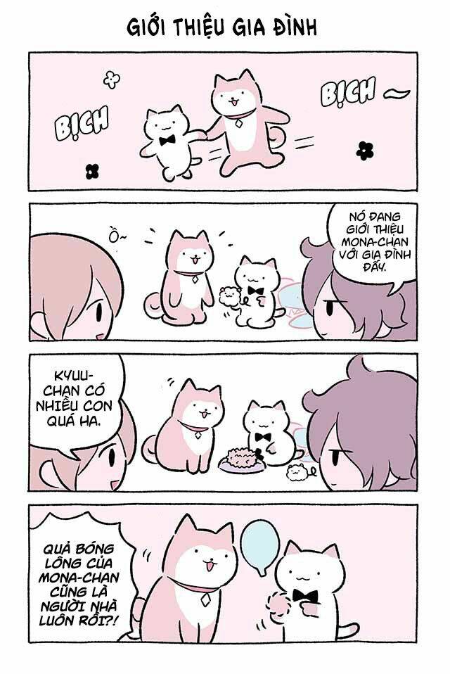 chú mèo kỳ diệu kyuu-chan chapter 476 2