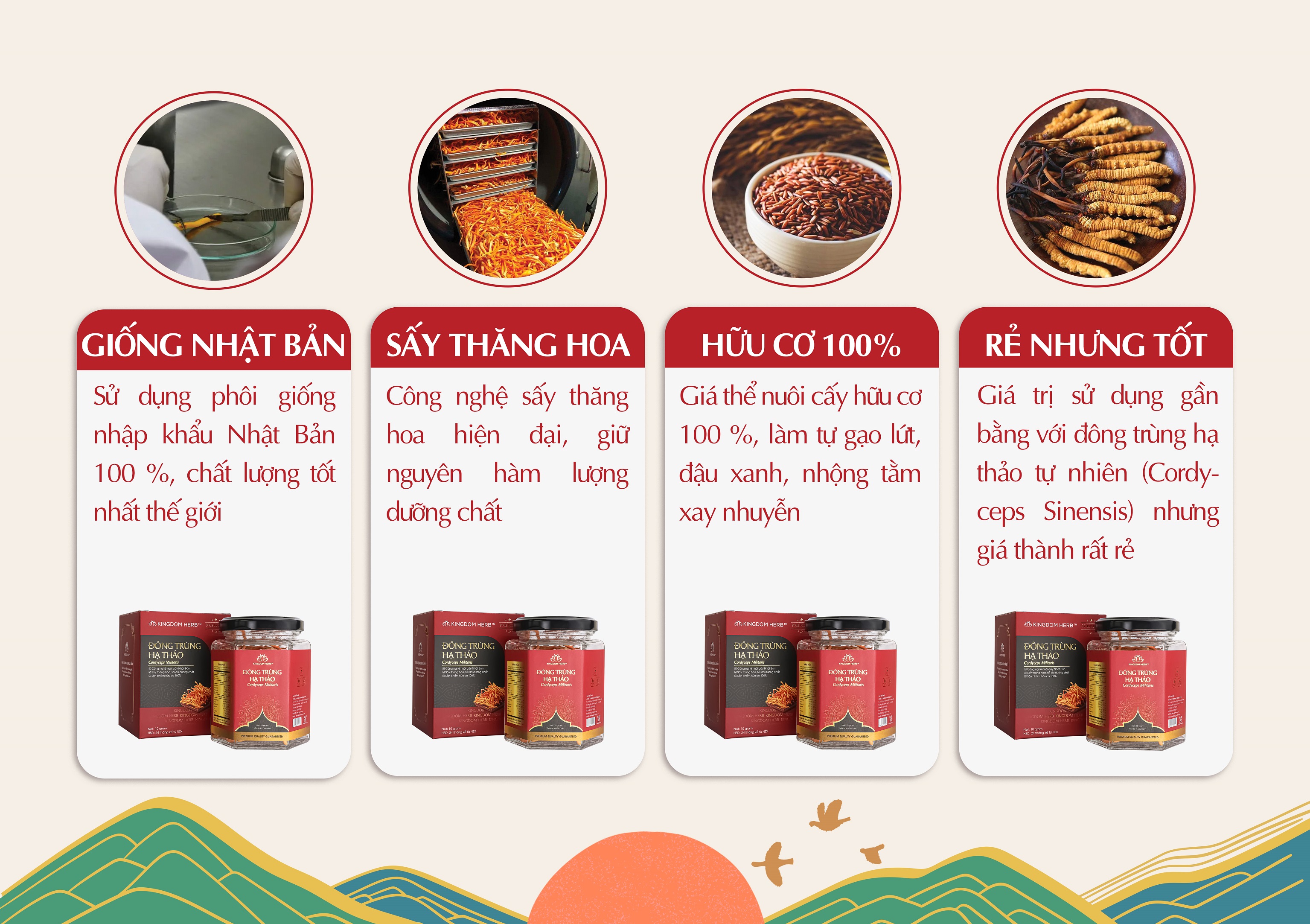 Đông trùng hạ thảo Kingdom Herb chính hãng loại thượng hạng sấy thăng hoa hộp 10 gram