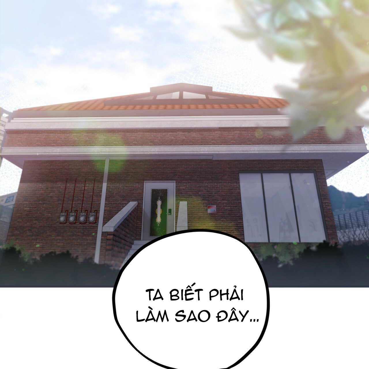 những chú thỏ của hapypy chapter 1 165