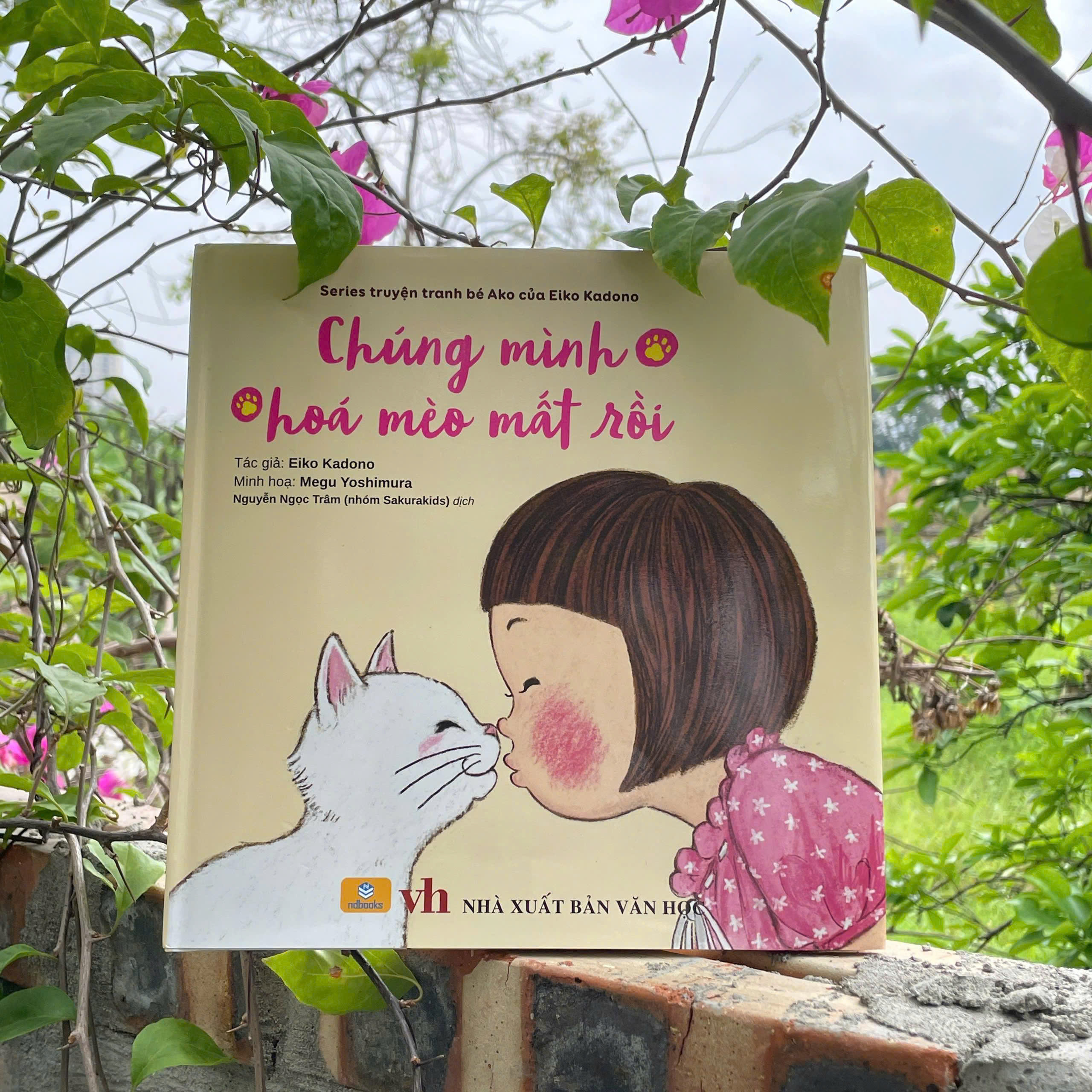 Sách - Chúng Mình Hóa Mèo Mất Rồi - ndbooks