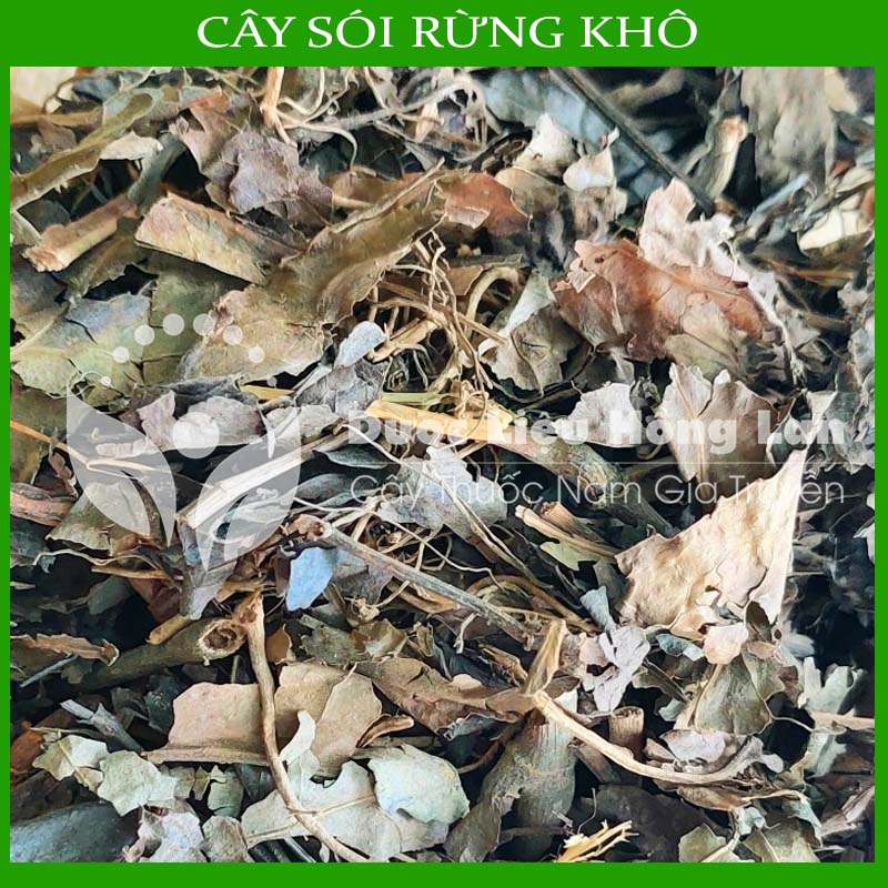 Cây Sói Rừng khô 1kg