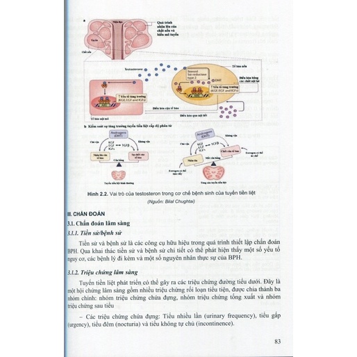 Bệnh học nam học và y học giới tính tập 1