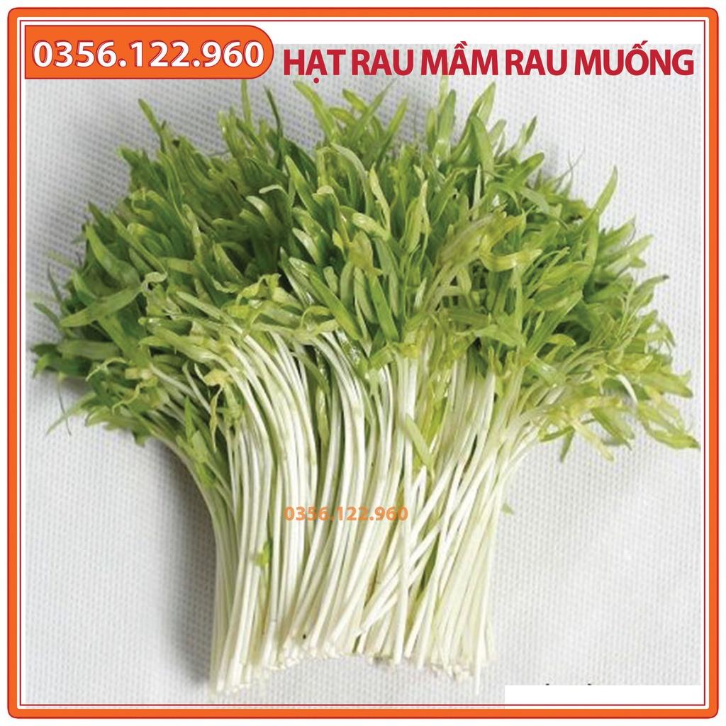Combo 10 Gói 50gam Hạt rau mầm rau muống - Hạt đểu đẹp, tỷ lện nảy mầm cao