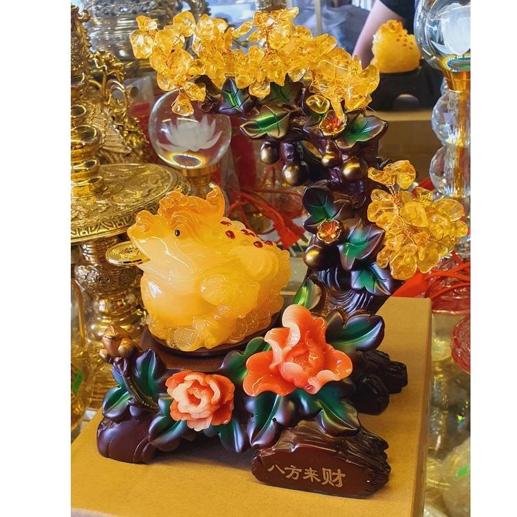 Cóc phong thủy + cây tài lộc 3 cỡ cao 17cm, 23cm