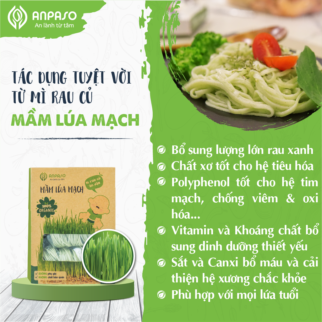 Mì Rau Củ Ăn Dặm Vị Mầm Lúa Mạch Organic Anpaso 300g