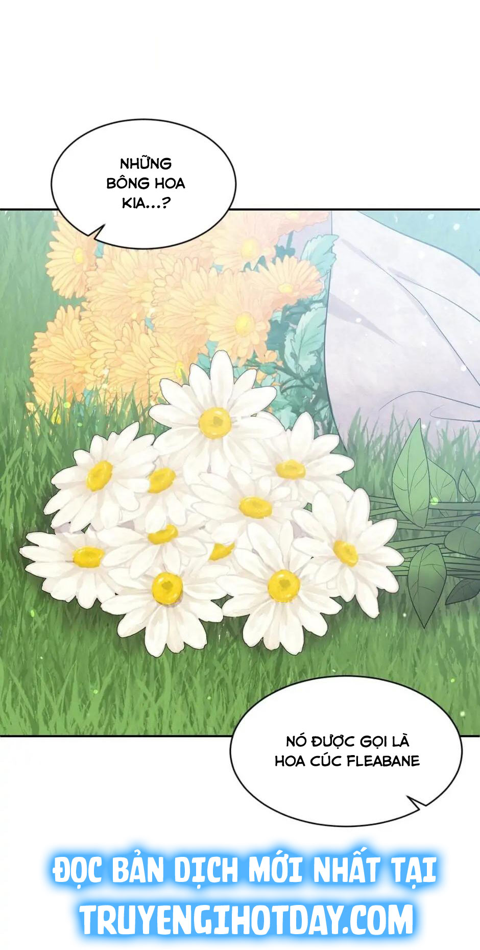 quý cô ngậm thìa vàng chapter 16 41