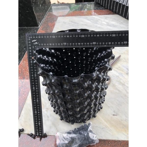Bầu ươm thông minh v6 cuôn 50m